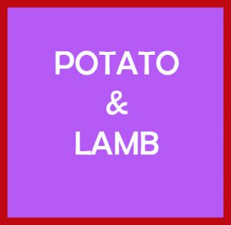 Potato & Lamb Grain Free Active