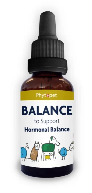 Balance