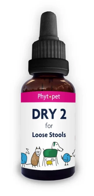 Dry 2