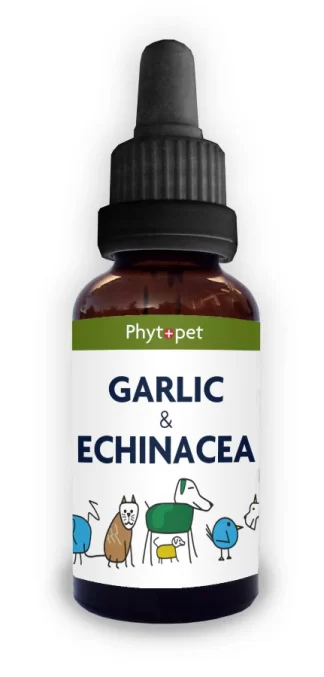 Garlic & Echinacea