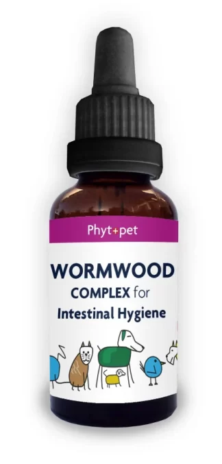 Wormwood