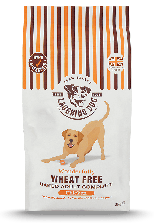 More Dog Food Healthy Option Natural Pet Food