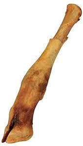 Lamb Trotter